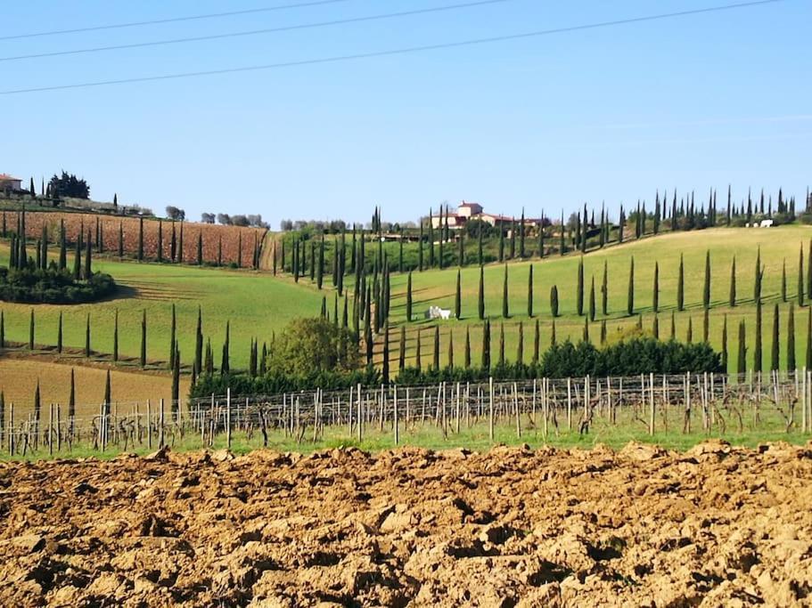 Castello Di Fulignano Ildebrando Superior Apartment San Gimignano Luaran gambar